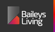 http://signatures.juicebox.com.au/baileys/logo.png